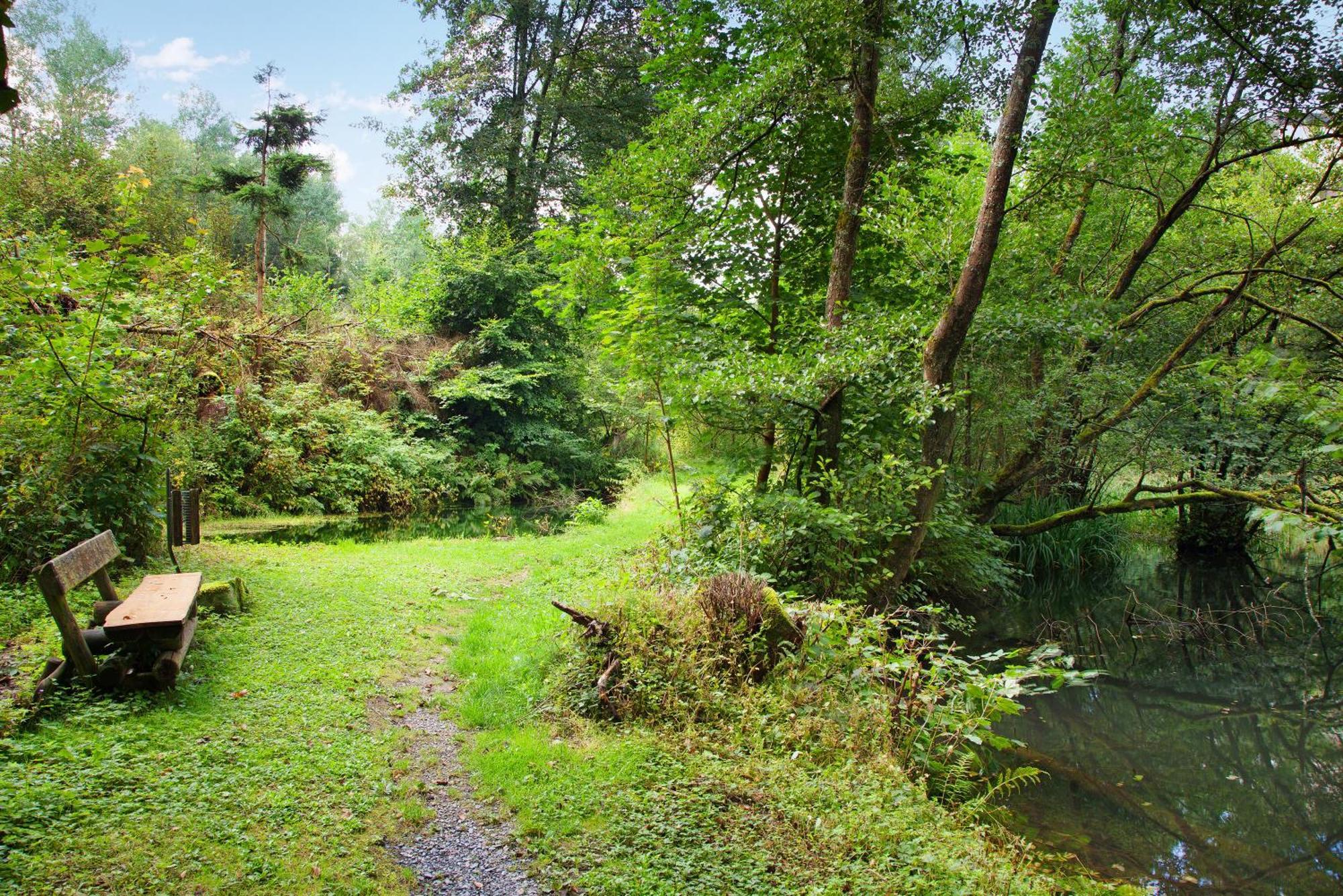 Apartmán Ruebezahl Brilon Exteriér fotografie